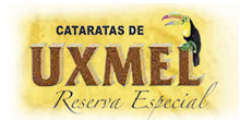 Cataratas de Uxmel Logo